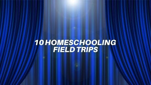 10 Awesome Homeschool Field Trip Ideas for 11th Graders